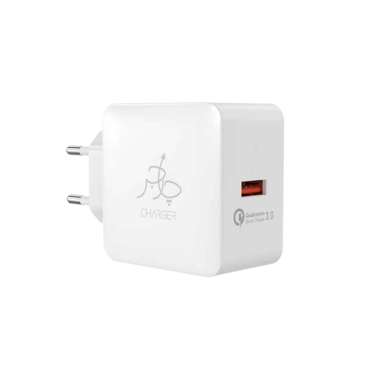Blaze 18W Charger